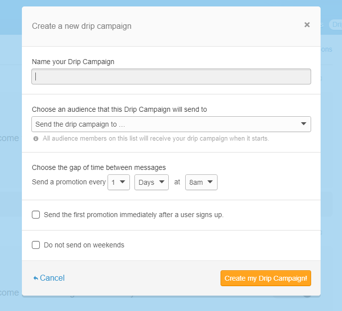 Screenshot of Mad Mini's drip campaign form